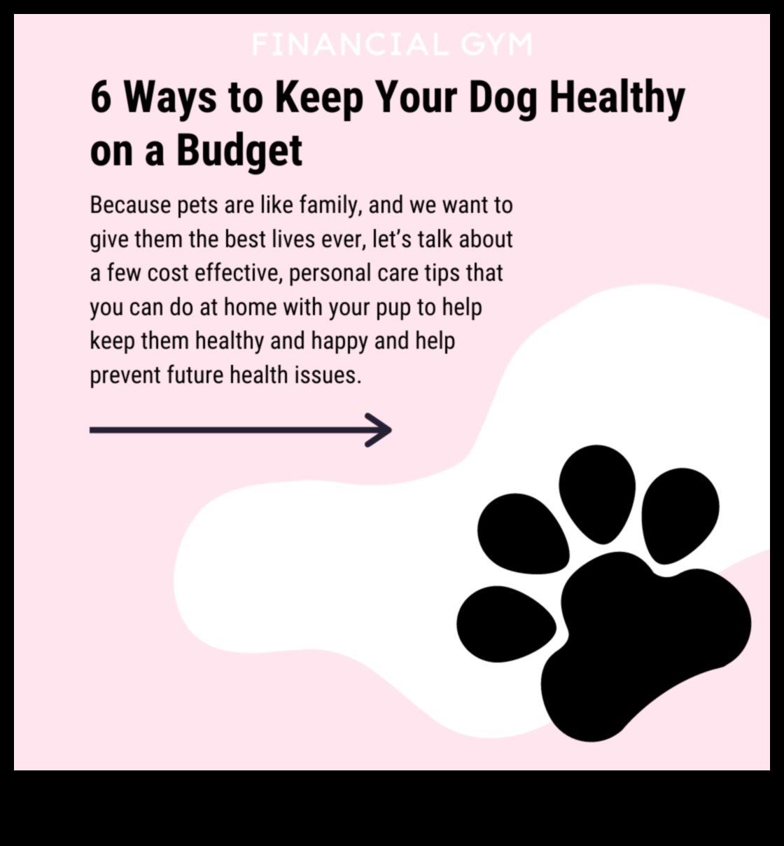 باركونوميكس: نصائح صديقة للميزانية لملكية الكلاب