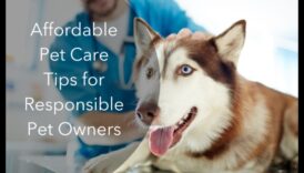 باركونوميكس: نصائح صديقة للميزانية لملكية الكلاب