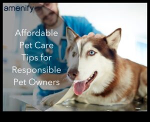 باركونوميكس: نصائح صديقة للميزانية لملكية الكلاب