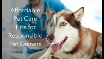 باركونوميكس: نصائح صديقة للميزانية لملكية الكلاب