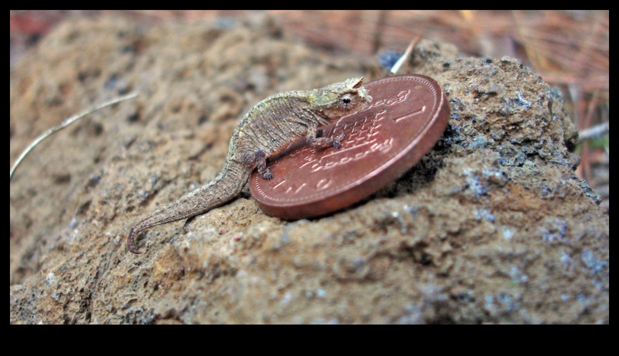 مزاح الزواحف: أنشطة جذابة لرفيقك المتقشر