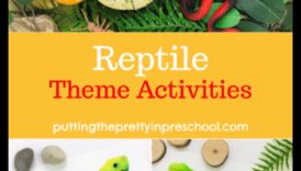 مزاح الزواحف: أنشطة جذابة لرفيقك المتقشر