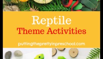 مزاح الزواحف: أنشطة جذابة لرفيقك المتقشر