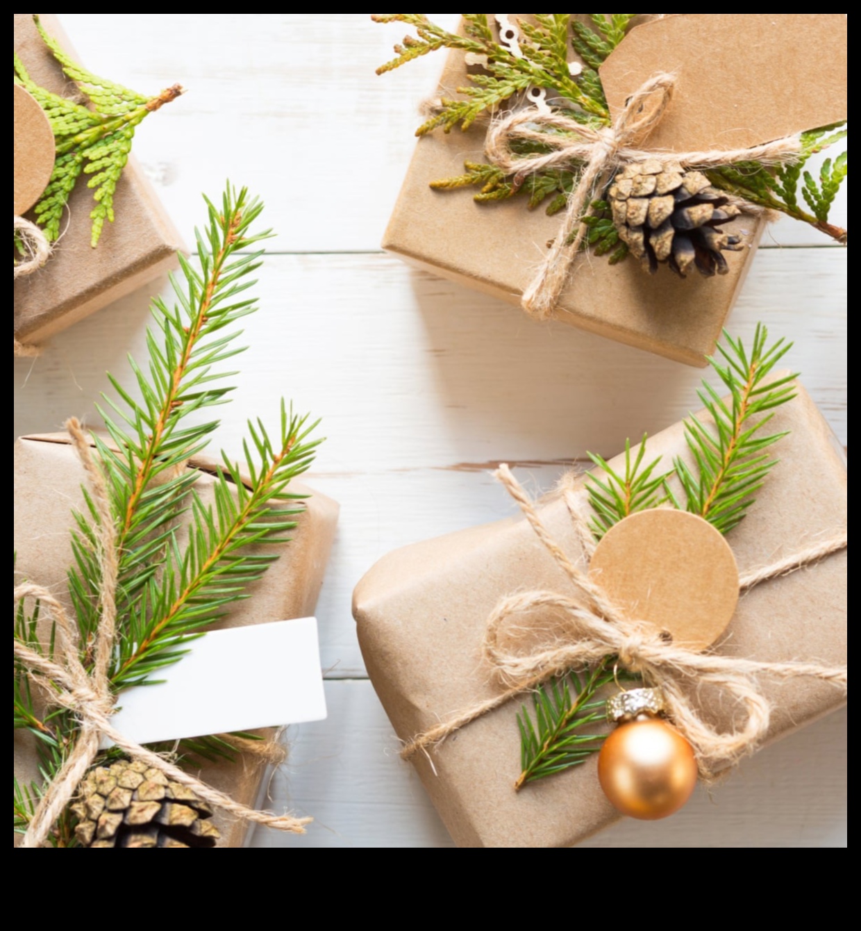 Green Guardian هدايا مستدامة وصديقة للبيئة لمناصر الأرض 2 Green Guardian: هدايا مستدامة وصديقة للبيئة لمناصري الأرض