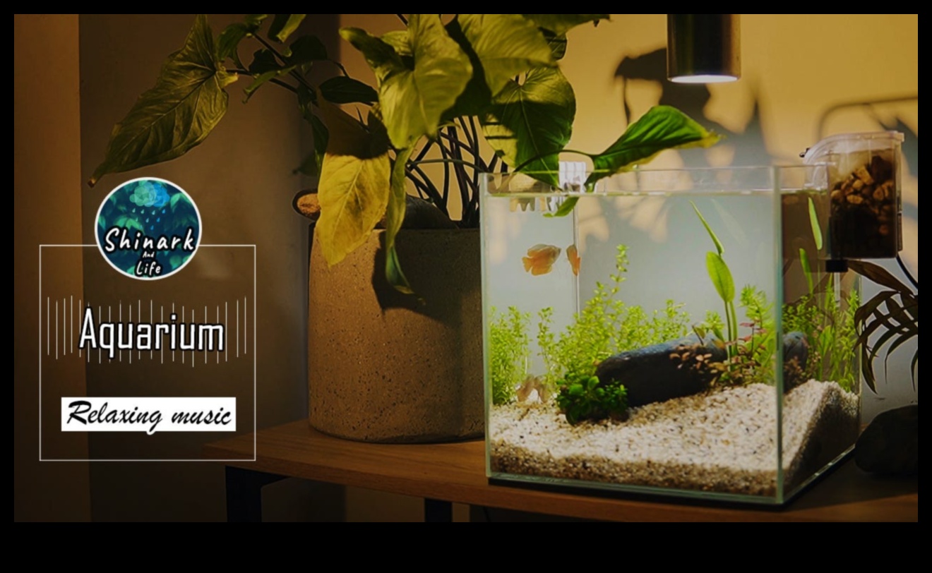 تابع Fish Tank Zen: أصوات وموسيقى مهدئة للنعيم المائي