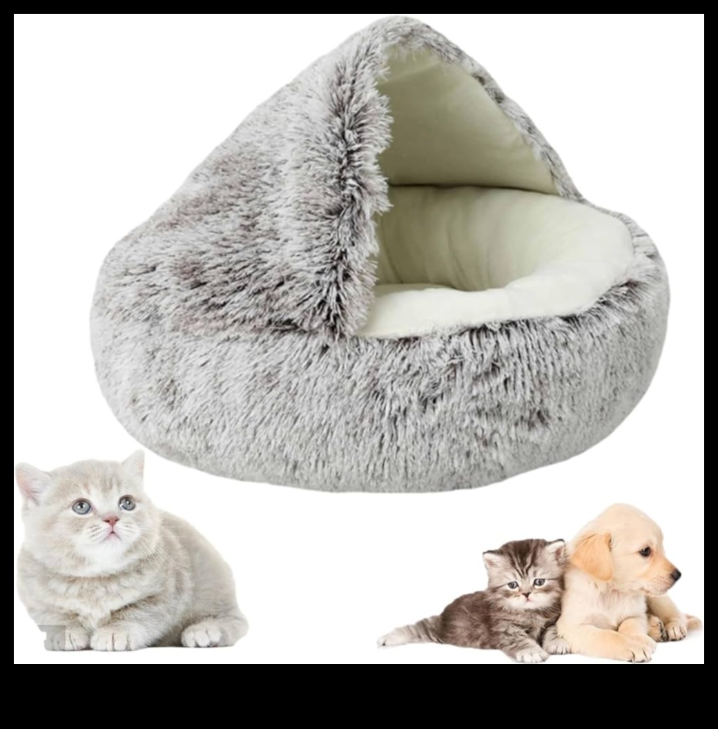 هدايا شرنقة مريحة لمنزل مريح 3 شرنقة مريحة: هدايا لمنزل مريح