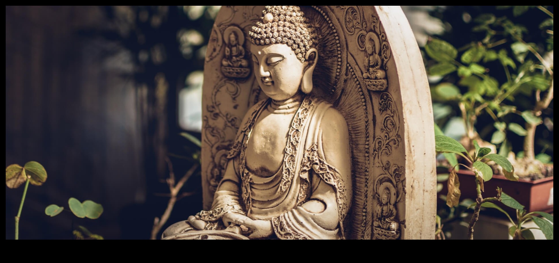 الهدوء الذي تم اختباره عبر الزمن: الغوص العميق في ماضي التأمل