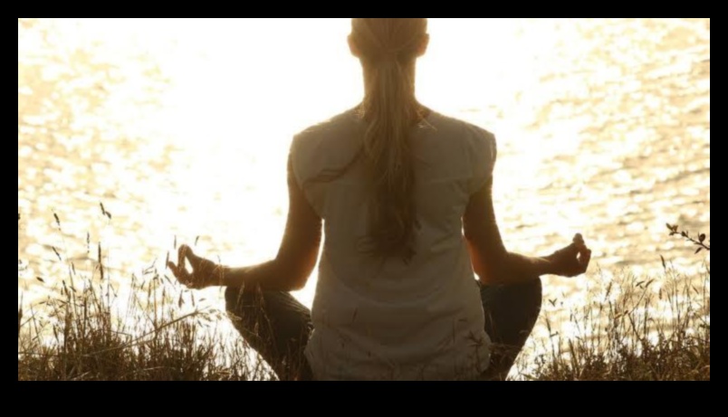 الهدوء الذي تم اختباره عبر الزمن: الغوص العميق في ماضي التأمل