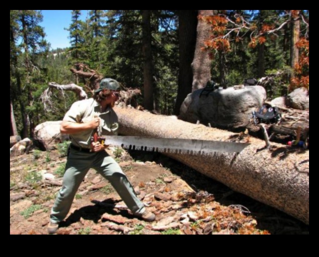 التدريبات البرية: تمارين في الهواء الطلق في المناظر الطبيعية الجامحة