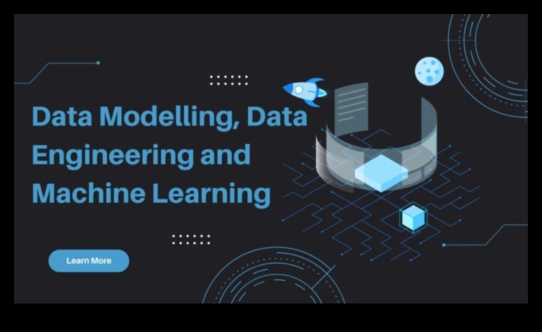 من البيانات إلى القرارات: الغوص العميق في مبادئ التعلم الآلي