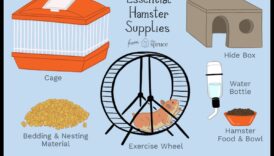 أساسيات إسكان الهامستر: اختيار القفص والفراش المناسبين