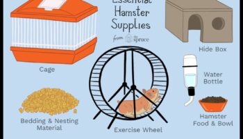 أساسيات إسكان الهامستر: اختيار القفص والفراش المناسبين