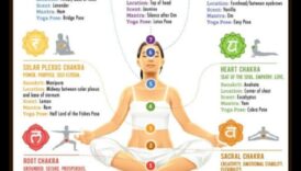 موازنة الروح: رحلة عبر ممارسات التأمل شقرا