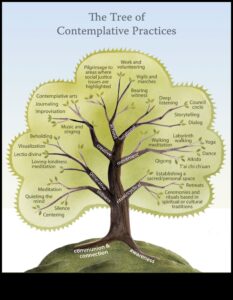 مسارات التأمل: خريطة تاريخية للتأمل