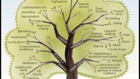 مسارات التأمل: خريطة تاريخية للتأمل