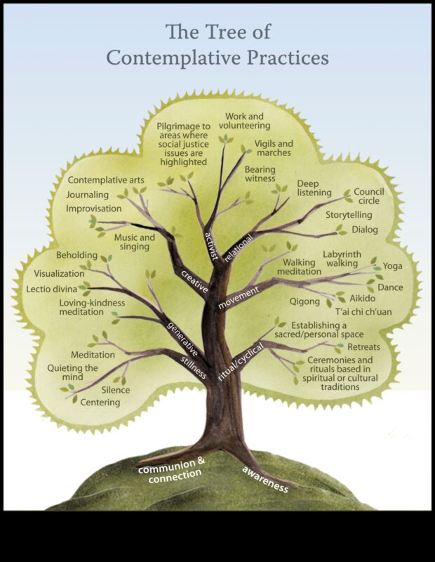 مسارات التأمل: خريطة تاريخية للتأمل