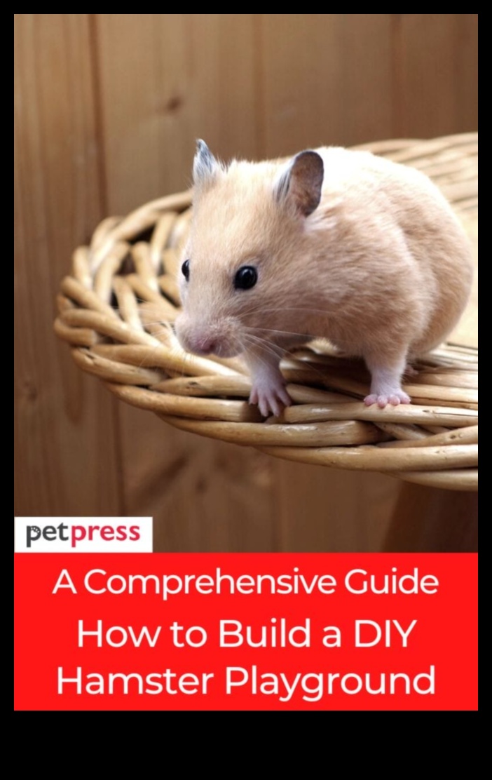 استمرار أفكار إثراء الهامستر: إنشاء مناطق لعب تفاعلية