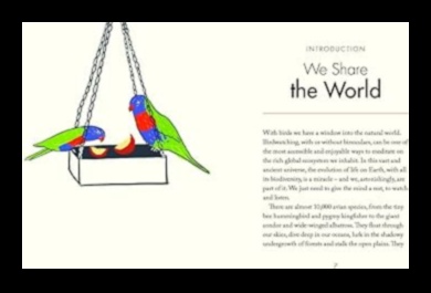 يقظة مراقب الطيور: العثور على الهدوء في مراقبة الطبيعة