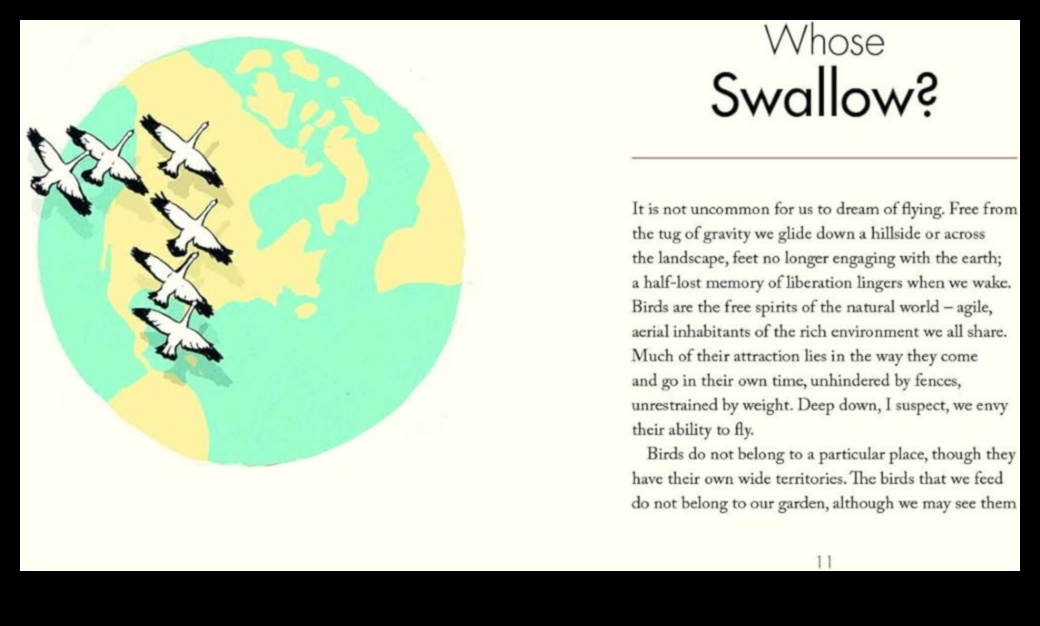 يقظة مراقب الطيور: العثور على الهدوء في مراقبة الطبيعة