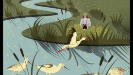 يقظة مراقب الطيور: العثور على الهدوء في مراقبة الطبيعة