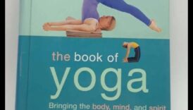 انسجام اليوغا: موازنة العقل والعواطف من خلال ممارسة اليوغا