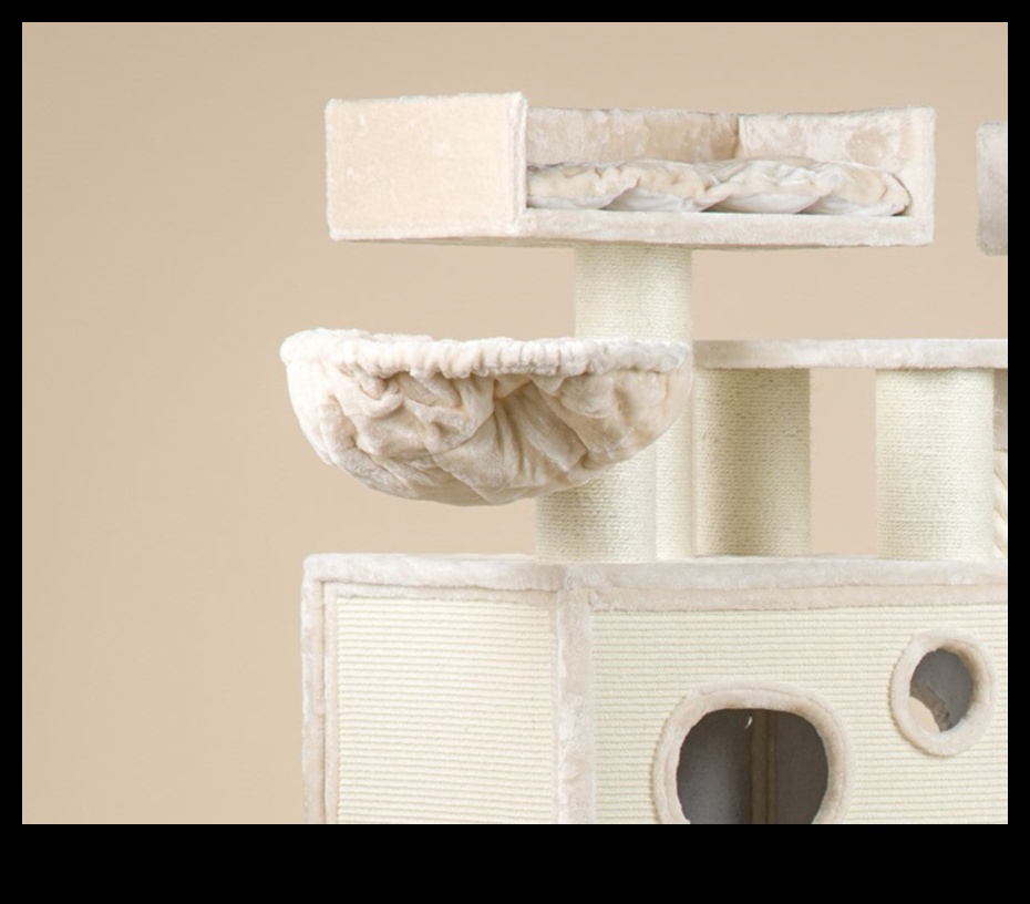 صياغة قلعة القطط: بناء الخلوات الملكية لملوك القطط