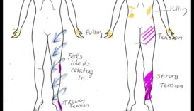 رسم خرائط مدروسة: اكتشف الصفاء من خلال فحص الجسم