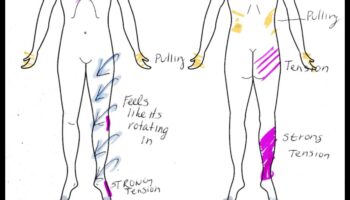 رسم خرائط مدروسة: اكتشف الصفاء من خلال فحص الجسم