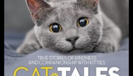 أفضل حكايات القطط: قصص شجاعة القطط والرفقة