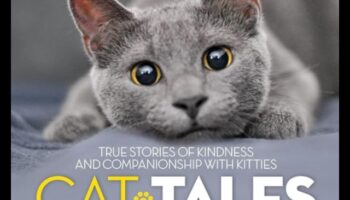 أفضل حكايات القطط: قصص شجاعة القطط والرفقة