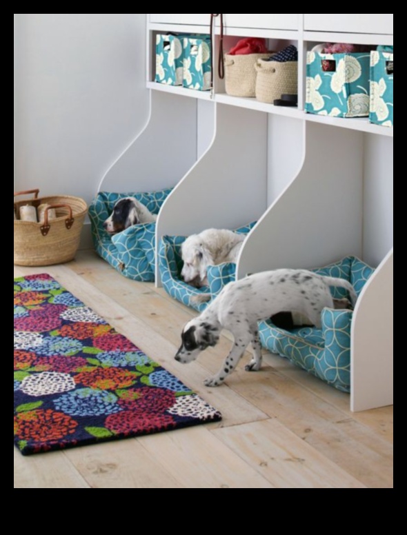 ركن الكلاب الإبداعي: ​​بناء مساحة مخصصة لكلبك