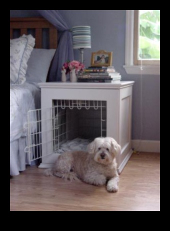 ركن الكلاب الإبداعي: ​​إنشاء مساحة مخصصة لكلبك