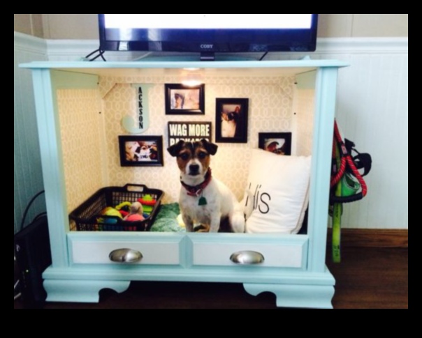 ركن الكلاب الإبداعي: ​​إنشاء مساحة مخصصة لكلبك