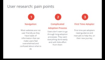 حقائق الإنقاذ: التنقل في عملية التبني