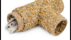 تابع مخابئ الهامستر: أفكار التعشيش الإبداعية