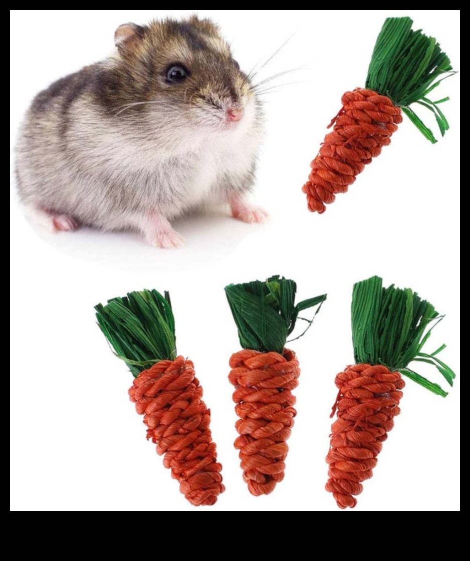 تابع العناية بأسنان الهامستر: توفير خيارات مضغ آمنة