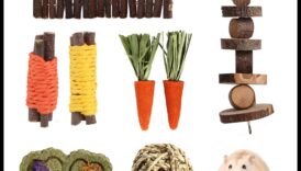 تابع العناية بأسنان الهامستر: توفير خيارات مضغ آمنة