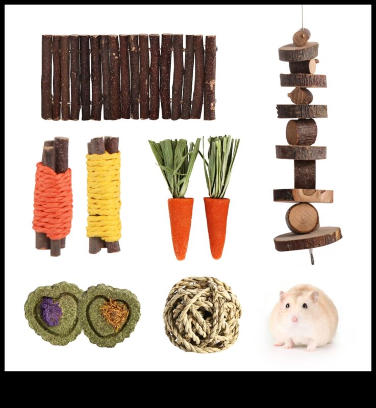 تابع العناية بأسنان الهامستر: توفير خيارات مضغ آمنة