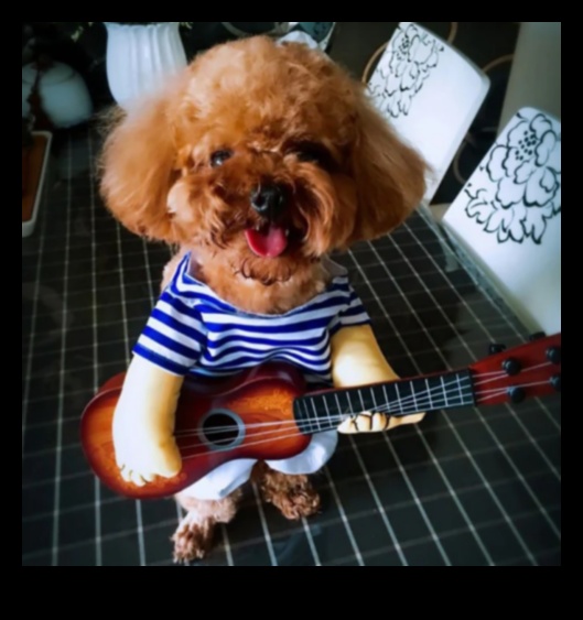 أزياء فيدو إلى الأمام: اتجاهات نمط الكلاب لكل موسم