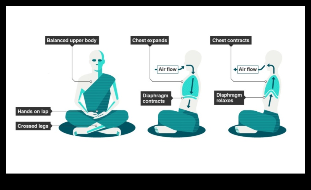 التنفس، والتركيز، وتحويل جوهر اليقظة الذهنية 1 التنفس والتركيز والتحويل: جوهر اليقظة الذهنية