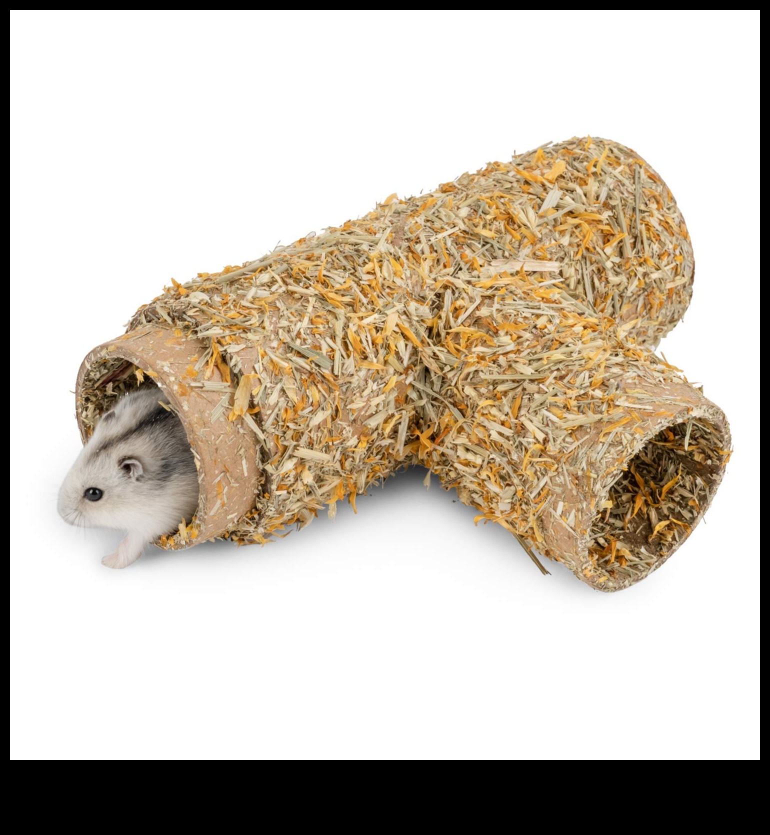 تابع مخابئ الهامستر: أفكار التعشيش الإبداعية