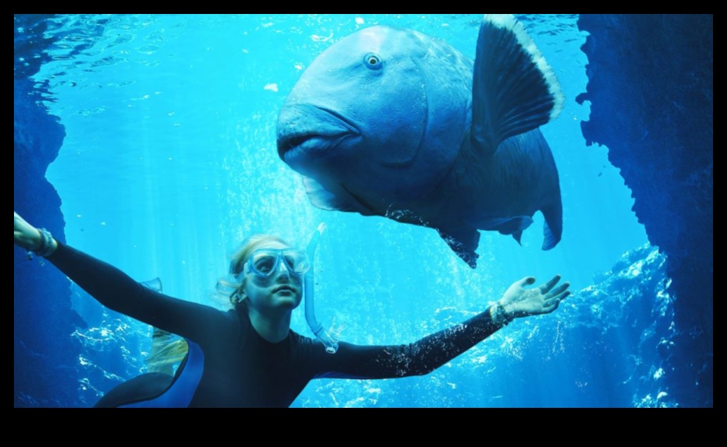 تابع مهرجان Fishy Film Fest: أفلام وثائقية تسلط الضوء على الحياة البحرية